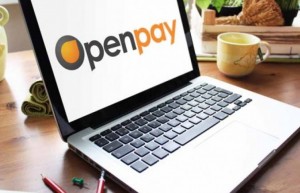 open-pay-300x193 open-pay
