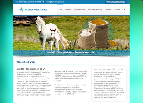 Diseño de página web salud y nutrición animal